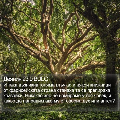 Деяния 23:9 BULG Bible Verse Image