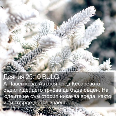 Деяния 25:10 BULG Bible Verse Image