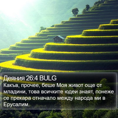 Деяния 26:4 BULG Bible Verse Image