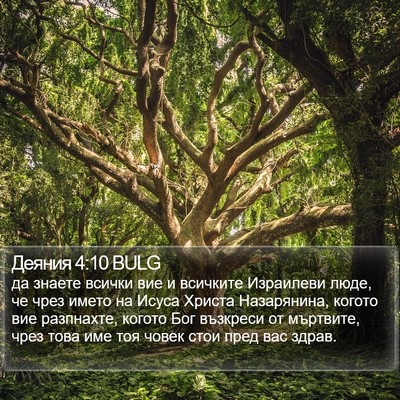 Деяния 4:10 BULG Bible Verse Image