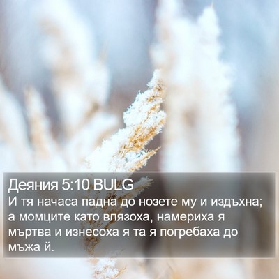 Деяния 5:10 BULG Bible Verse Image