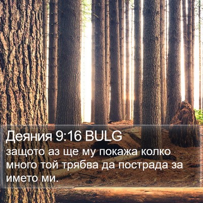 Деяния 9:16 BULG Bible Verse Image