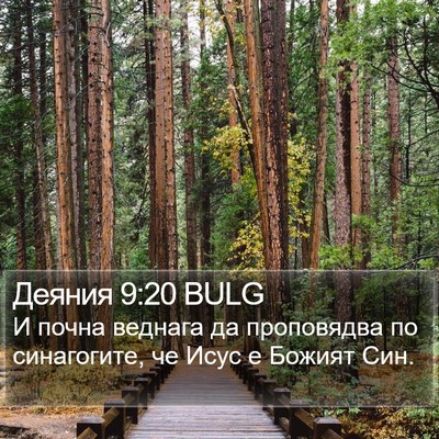 Деяния 9:20 BULG Bible Verse Image