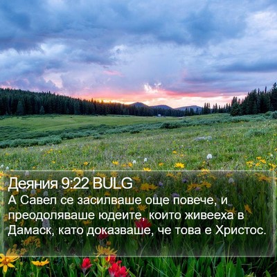 Деяния 9:22 BULG Bible Verse Image