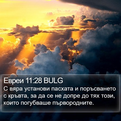 Евреи 11:28 BULG Bible Verse Image