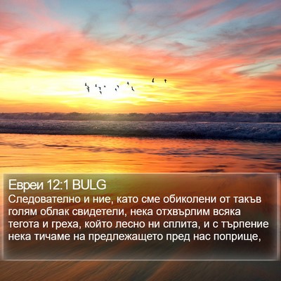Евреи 12:1 BULG Bible Verse Image