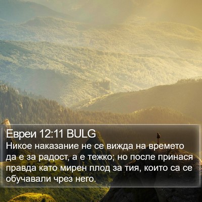 Евреи 12:11 BULG Bible Verse Image
