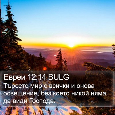 Евреи 12:14 BULG Bible Verse Image
