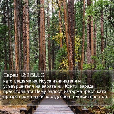 Евреи 12:2 BULG Bible Verse Image