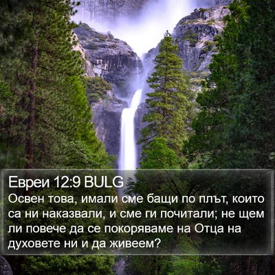 Евреи 12:9 BULG Bible Verse Image