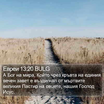 Евреи 13:20 BULG Bible Verse Image