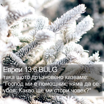 Евреи 13:6 BULG Bible Verse Image