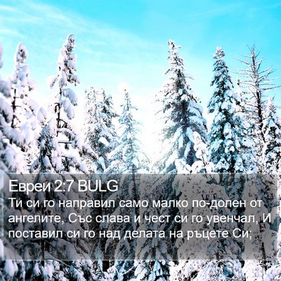 Евреи 2:7 BULG Bible Verse Image