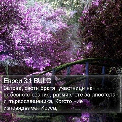Евреи 3:1 BULG Bible Verse Image