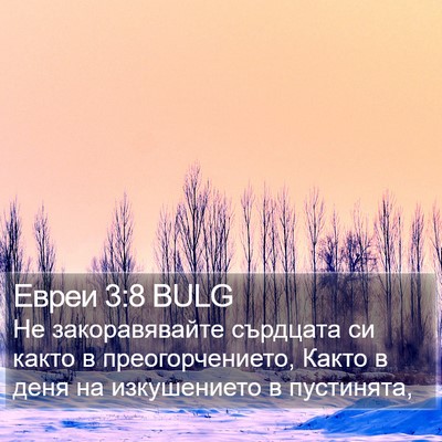Евреи 3:8 BULG Bible Verse Image