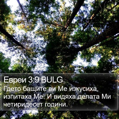 Евреи 3:9 BULG Bible Verse Image