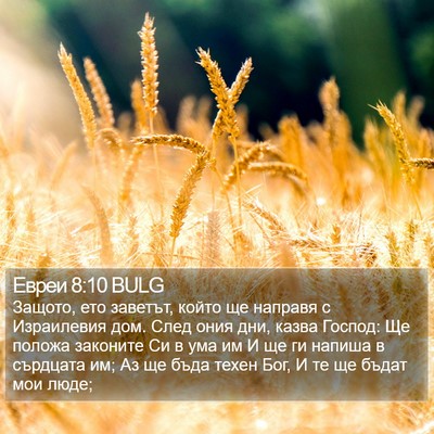 Евреи 8:10 BULG Bible Verse Image