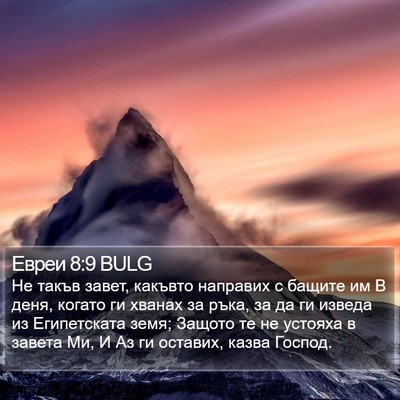 Евреи 8:9 BULG Bible Verse Image