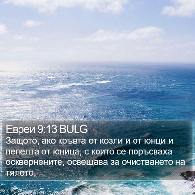 Евреи 9:13 BULG Bible Verse Image