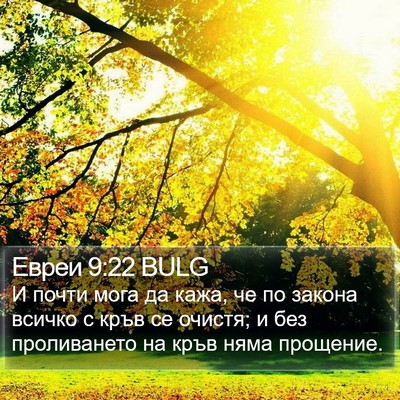 Евреи 9:22 BULG Bible Verse Image