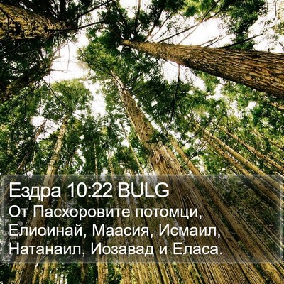 Ездра 10:22 BULG Bible Verse Image