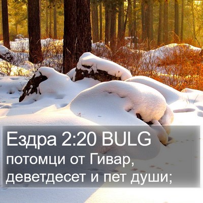 Ездра 2:20 BULG Bible Verse Image