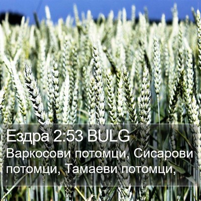 Ездра 2:53 BULG Bible Verse Image