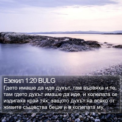 Езекил 1:20 BULG Bible Verse Image