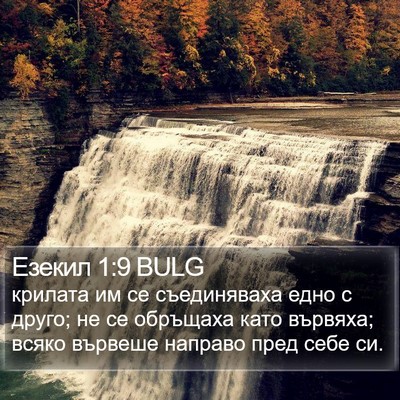 Езекил 1:9 BULG Bible Verse Image