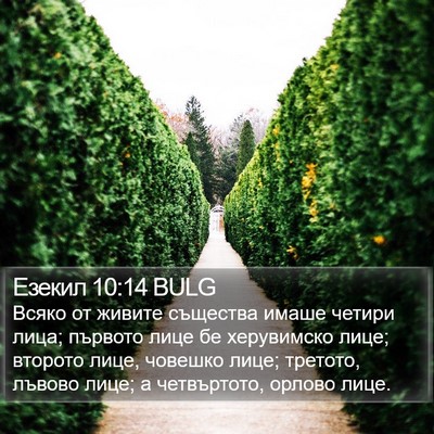 Езекил 10:14 BULG Bible Verse Image