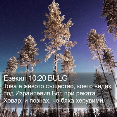 Езекил 10:20 BULG Bible Verse Image