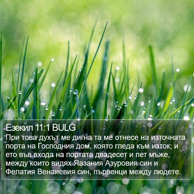 Езекил 11:1 BULG Bible Verse Image