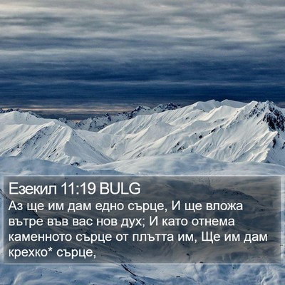 Езекил 11:19 BULG Bible Verse Image