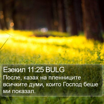 Езекил 11:25 BULG Bible Verse Image
