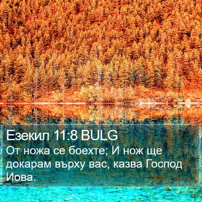 Езекил 11:8 BULG Bible Verse Image