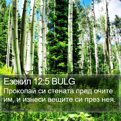 Езекил 12:5 BULG Bible Verse Image