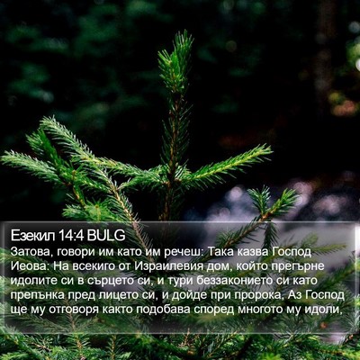 Езекил 14:4 BULG Bible Verse Image