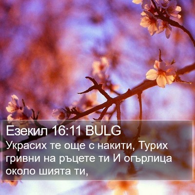 Езекил 16:11 BULG Bible Verse Image