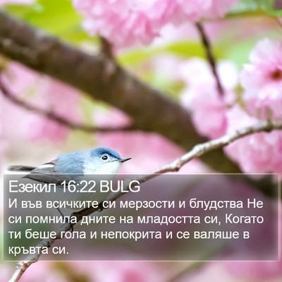 Езекил 16:22 BULG Bible Verse Image
