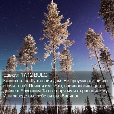 Езекил 17:12 BULG Bible Verse Image