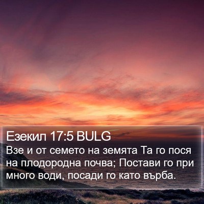 Езекил 17:5 BULG Bible Verse Image