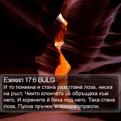 Езекил 17:6 BULG Bible Verse Image