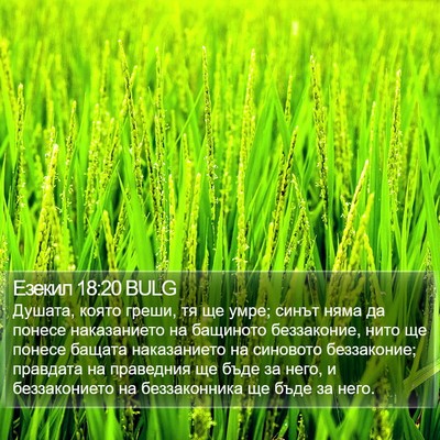 Езекил 18:20 BULG Bible Verse Image