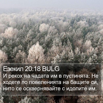 Езекил 20:18 BULG Bible Verse Image
