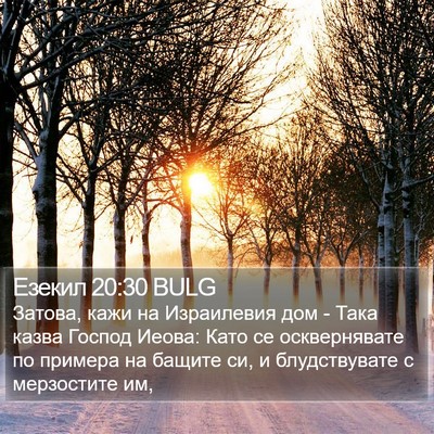 Езекил 20:30 BULG Bible Verse Image