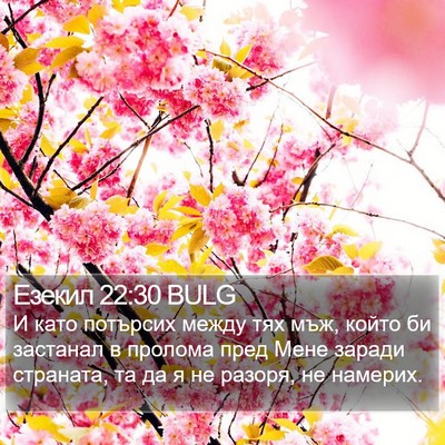 Езекил 22:30 BULG Bible Verse Image