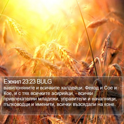 Езекил 23:23 BULG Bible Verse Image