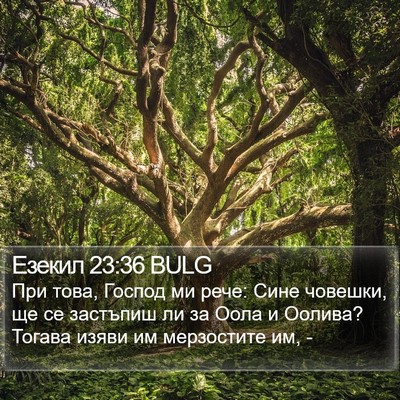Езекил 23:36 BULG Bible Verse Image
