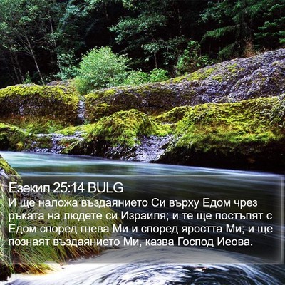 Езекил 25:14 BULG Bible Verse Image