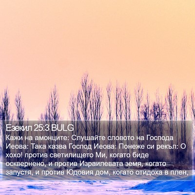 Езекил 25:3 BULG Bible Verse Image
